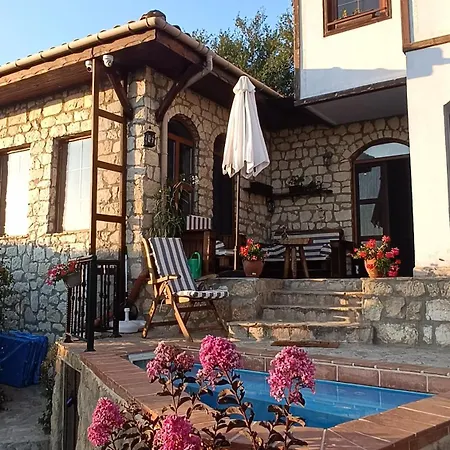 Momino Villa *